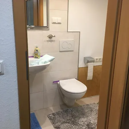 Appartamento Doppelzimmer Mit Neuem Bad Und Sportpool-nutzung Aussen, Im Souterrain Der Naturpark, Garten Mit Rheinblick *