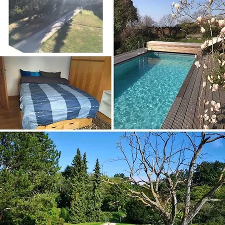 Appartamento Doppelzimmer Mit Neuem Bad Und Sportpool-nutzung Aussen, Naturpark, Garten Mit Rheinblick