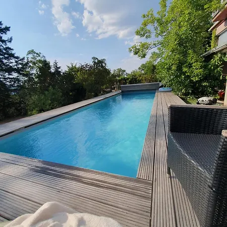 Appartamento Doppelzimmer Mit Neuem Bad Und Sportpool-nutzung Aussen, Im Souterrain Der Naturpark, Garten Mit Rheinblick