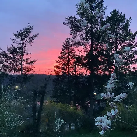 Doppelzimmer Mit Neuem Bad Und Sportpool-nutzung Aussen, Naturpark, Garten Mit Rheinblick Coblenza