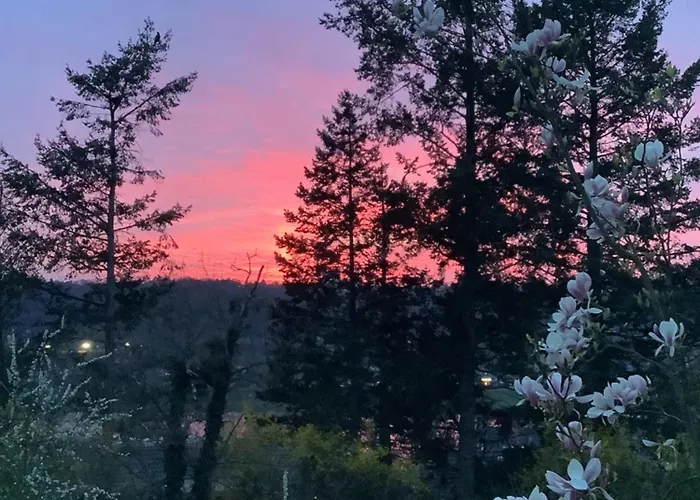Doppelzimmer Mit Neuem Bad Und Sportpool-nutzung Aussen, Naturpark, Garten Mit Rheinblick Coblenza