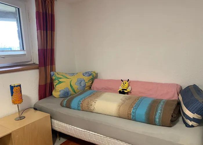 Doppelzimmer Mit Neuem Bad Und Sportpool-nutzung Aussen, Naturpark, Garten Mit Rheinblick Coblenza